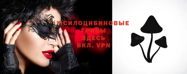 стафф Киренск