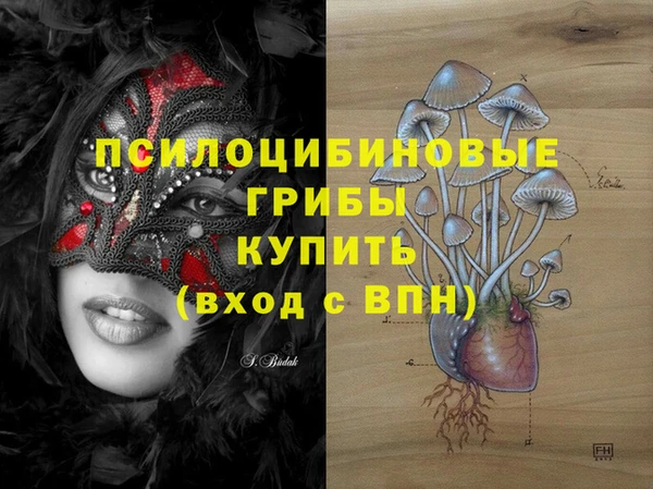 стафф Киренск