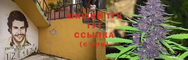 кокс Кинешма