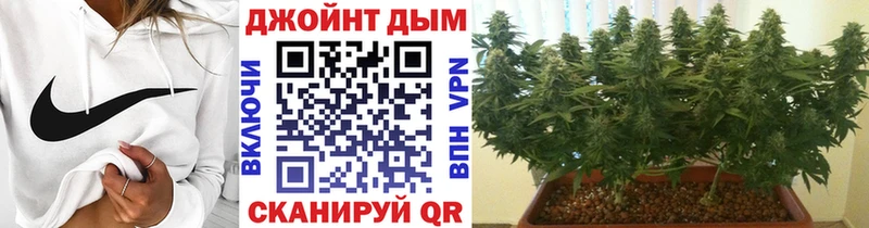 Купить  Красный Холм  МАРИХУАНА THC 21% 